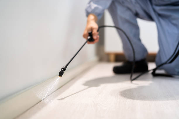 Licensed Cockroach Control service in Waterloo, IA - Nex Pest Control