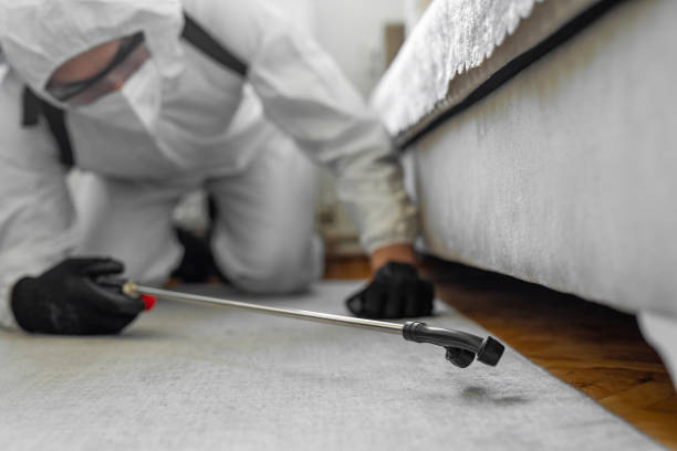 Professional Cockroach Control technician working in Waterloo, IA