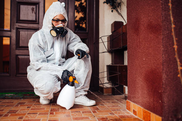 Reliable Cockroach Control contractor in Waterloo, IA by Nex Pest Control
